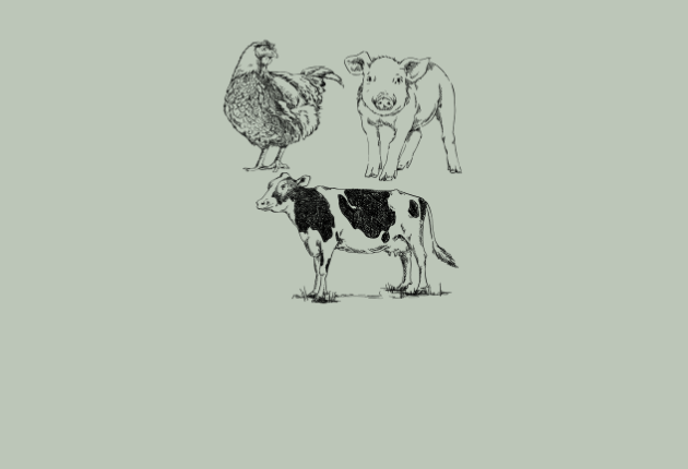 lantbrukets djur