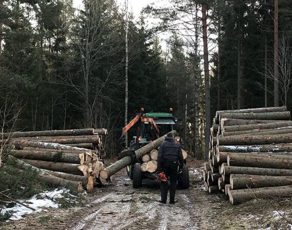 Skogsbruk Ösvreta Sörmland