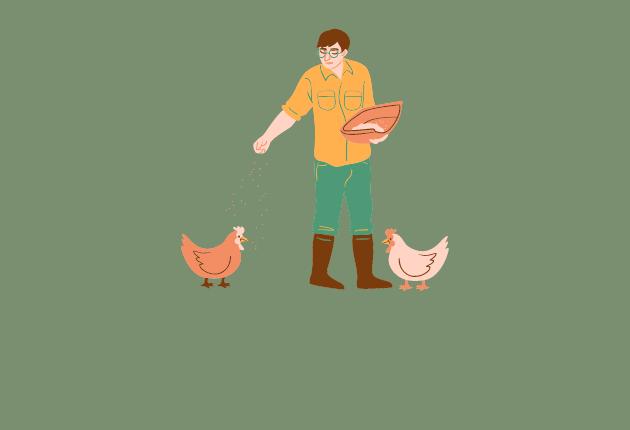 wwoof schweden